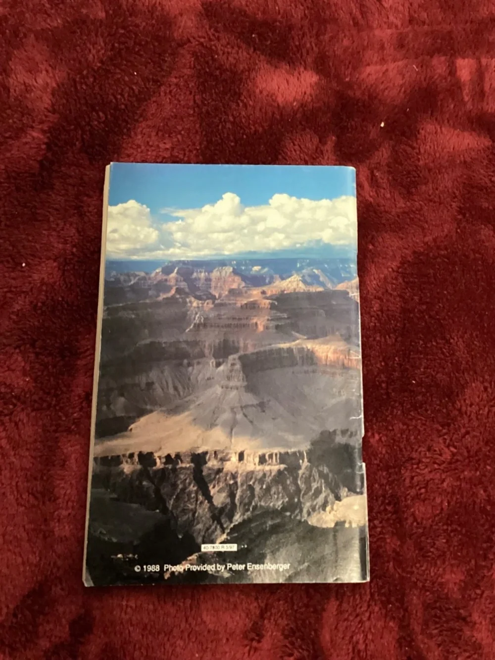 N/A arizona driver
